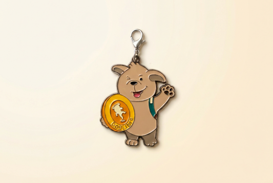 Captain Paws QR collar tag, DogLibre pet safety accessory
